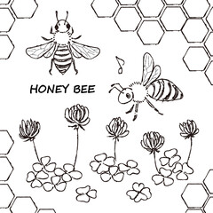 honey bee and clover Line drawing 