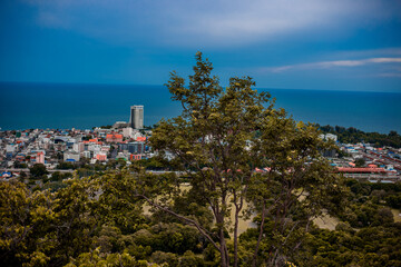 wood, beauty, foliage, wild, river, forest, water, view, scenery, lake, park, flower, colorful, color, travel, floral, sky, blue, blossom, tree, bloom, tourism, scenic, nature, green, plant, grass, fi