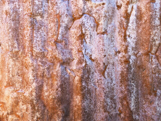 rusted corroded rust steel metal shed building iron structure wall