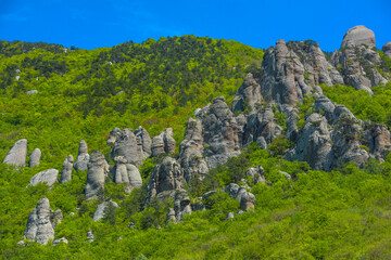 Fototapeta na wymiar Rock pillars in Valley of Ghosts of the mountain range Demerji,