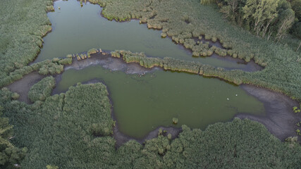 Teich oder Tümpel aus der Luft