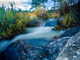 Arroyo alrededor de hierbas de colores y piedras 