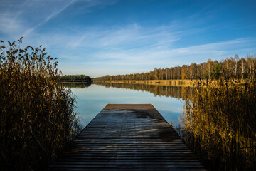 forest-lake-autumn-leaves-frost-jaworzno-poland-polska