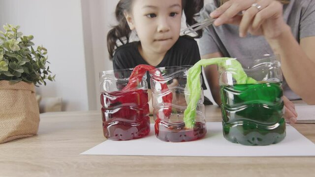 Asian mother and her daughter are doing science experiment at home with colorful water. It shows concept of self learning and spending time together for family activities with fun and happiness.
