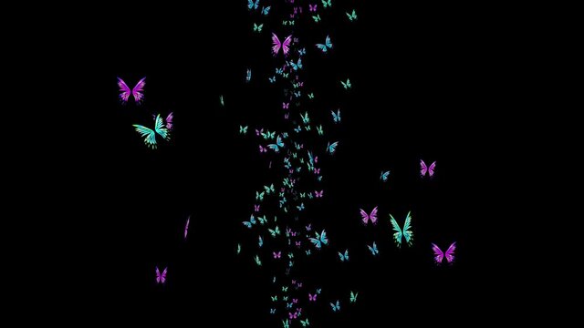 Many colorful butterflies flying in air on black background. Nature concept.  Butterfly flapping. Illustration of insects. Loop animation.