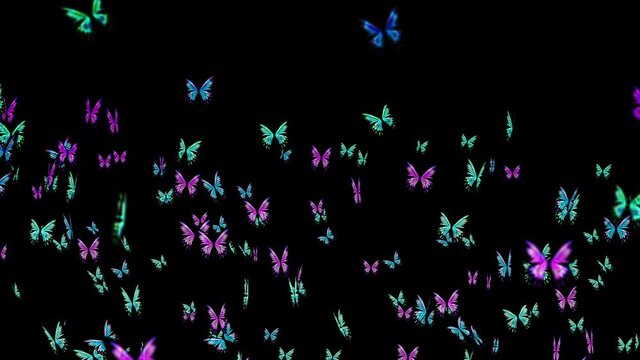 Many colorful butterflies flying in air on black background. Nature concept.  Butterfly flapping. Illustration of insects. Loop animation.