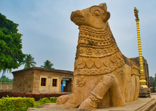 Monolithic Bull Nandhi statue at Brihadeeswarar temple. Adi Kumbeswarar Temple, Kumbakonam is a Hindu temple dedicated to the deity Shiva. Tamil Nadu, India.