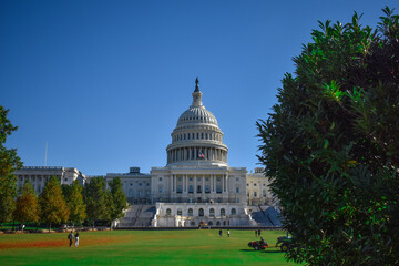Fototapeta premium Washington, DC, USA - November 1, 2021: Front of the U.S. Capitol Building Viewed from the West, Framed by Trees on a Bright Sunny Day