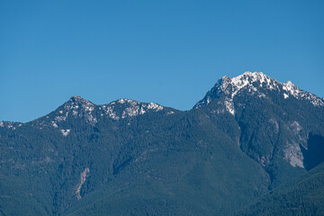 mountain range covered by forest with patches of snow on the summit under the clear blue sky on a sunny day