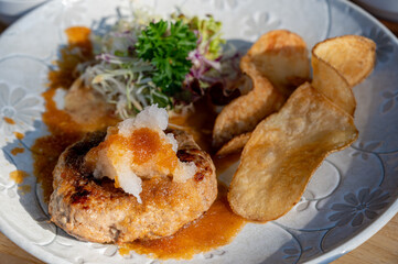 おろしハンバーグ