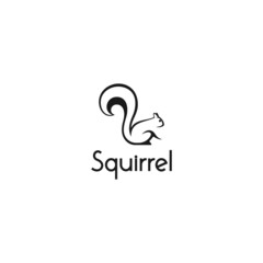 squirrel vector logo design. logo template