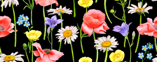seamless pattern with watercolor drawing wild flowers, red poppies,white daisies yellow buttercups anb blue bells at black background, hand drawn illustration