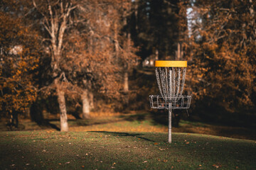 Disc golf basket during autumn