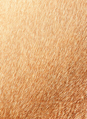 Full frame brown short fur for the background.