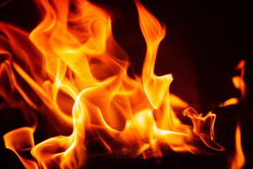 Fototapeta premium fire on the black background