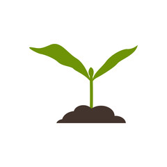 Fototapeta na wymiar plant icon design template vector
