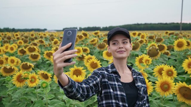 Countryside, farmer female standing in a field of sunflowers and takes selfie pictures on a smartphone, investigating plants, 4k slow motion.