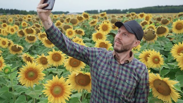 Countryside, man farmer standing in a field of sunflowers and takes selfie pictures on a smartphone, investigating plants, 4k slow motion.