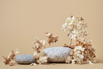 Rounded pebbles podium and dried flowers. Trending background for presentation of eco friendly and zero waste products in earth colors