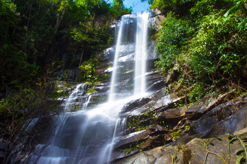 Obraz premium waterfall in the forest