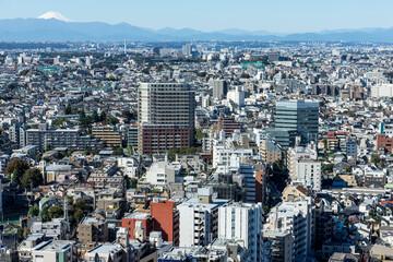 高層ビルから見る東京の風景