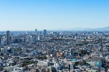 Fototapeta na wymiar 高層ビルから見る東京の風景