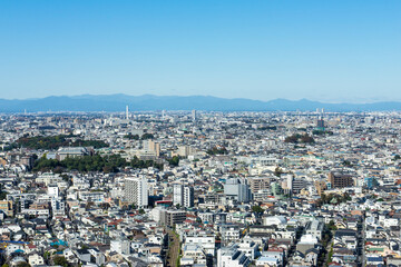 Fototapeta premium 高層ビルから見る東京の風景
