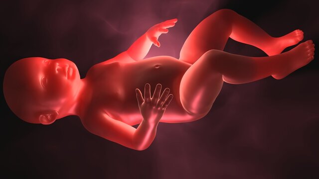 Glowing human baby with semi transparent skin , subsurface scattering of light. Genetically engineered child. Human cloning.  3d render illustration 
