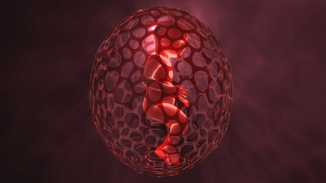 Human baby glowing transparent skin in egg shaped cocoon. Genetically engineered infant. Human cloning.Alien child.3d render illustration volumetric light rays subsurface scattering of light in skin