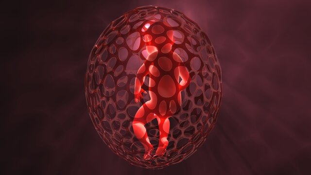 Human baby glowing transparent skin in egg shaped cocoon. Genetically engineered infant. Human cloning.Alien child.3d render illustration volumetric light rays subsurface scattering of light in skin