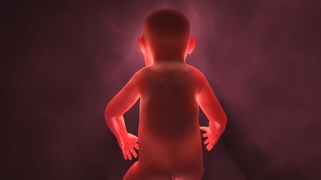 Glowing human baby with semi transparent skin , subsurface scattering of light. Genetically engineered child. Human cloning.  3d render illustration 