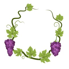 Round Frame. Vine with foliage and bunches of grapes. Viticulture and farming. Branches with berries on a dense bush. Young vineyard. Sweet autumn harvest. Isolated on white background. Vector.