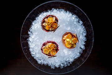 fresh oyster mollusk in ice
