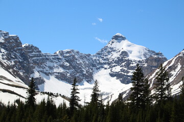 Obraz premium snow covered mountains, Jasper National Park, Alberta