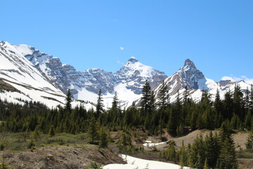 Fototapeta premium national park
