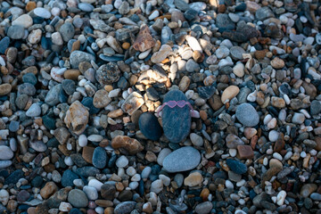 A Pebble stone wearing sunglasses on the pebble beach on summer day. Creativity and playing concept