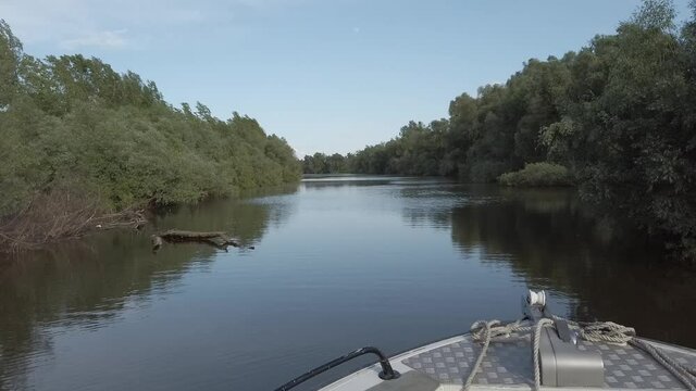 Steadicam shot from bow of sailing boat on the river with trees instead of river banks when weather is sunny. Bow of the boat at the bottom aslo