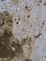 Textured concrete background with many potholes, scratches, irregularities, scuffs with colored...