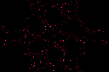 Red flower outline Mandala background.Red Mandala.