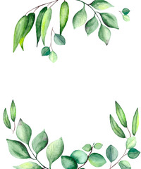 Watercolor frame with green leaves on a white background with space for text. For the design of postcards, posters, greetings.