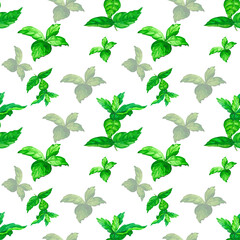 Seamless pattern with green mint leaves on a white background. Watercolor drawing for textiles, wallpaper, packaging and bed linen.