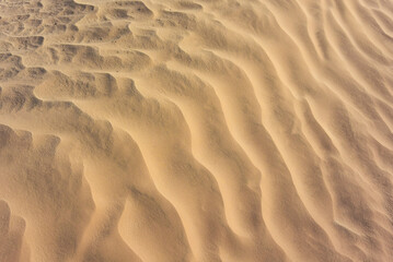 Sand dunes of the Sahara Desert in Tunisia, Africa.