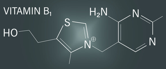 Vitamin B1 (thiamine) molecule. Skeletal formula.	
