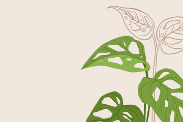 Background vector monstera swiss cheese plant botanical illustration