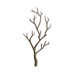 Bare Tree Branch or Twigs with Naked Stem and Snag Vector Illustration