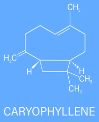 Caryophyllene molecule. Constituent of multiple herbal essential oils, including clove oil. Skeletal formula. Vector illustration