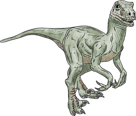 raptor dinosaur illustration isolated on white backgroud