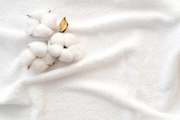 Fototapeta na wymiar Cotton flowers on surface of white terry towel. Clean towel as texture or background. Top view.