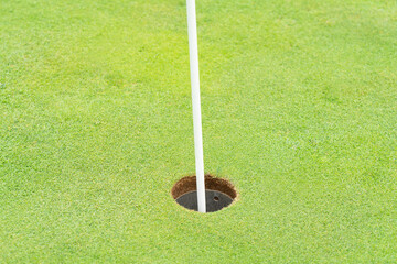 ゴルフ グリーン カップ