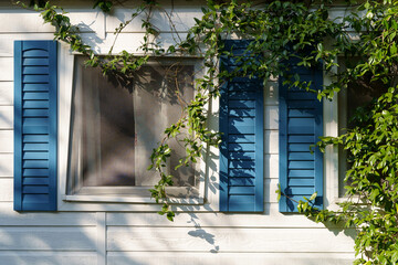Tiny mobile house window with blue shutters and green leaves growing on. High quality photo